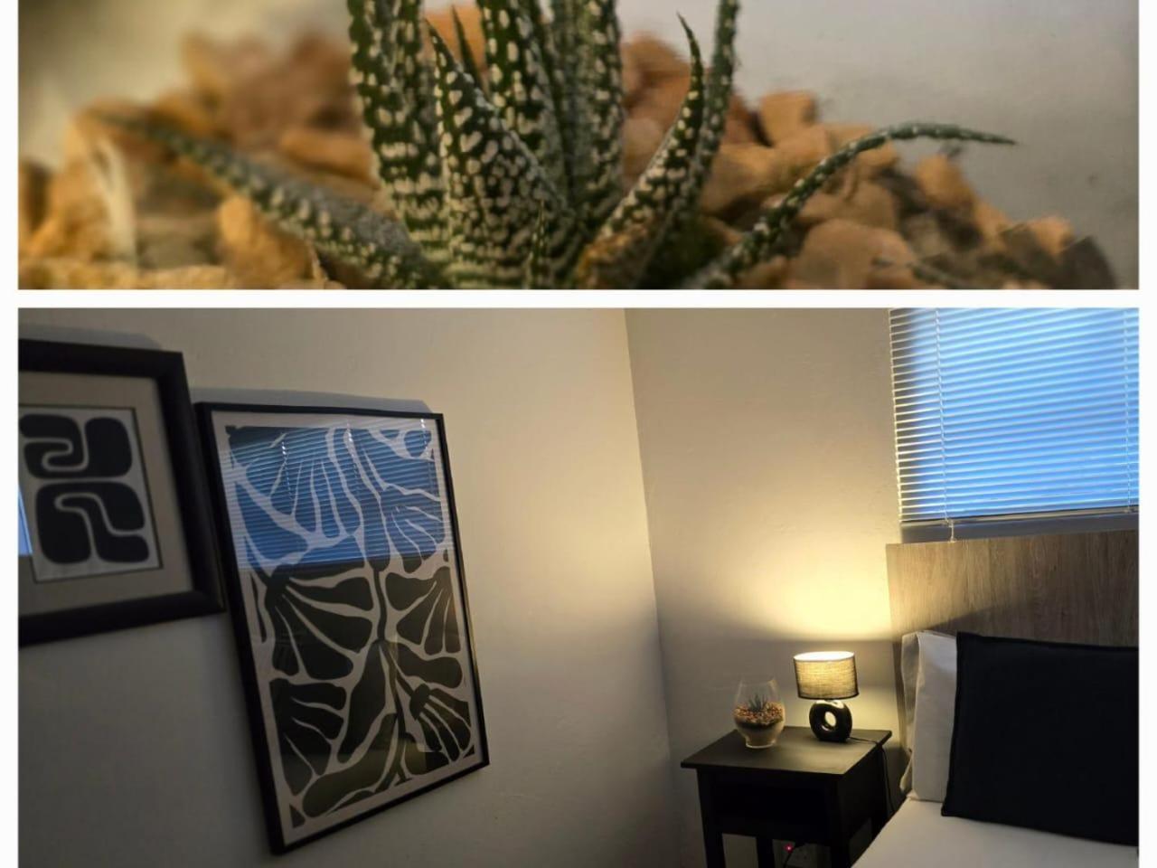 The Lantern Guesthouse 布隆方丹 外观 照片
